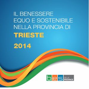 Copertina TRIESTE 2014